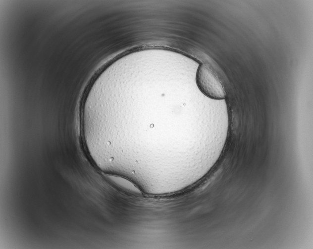 X0000089751036200707201918