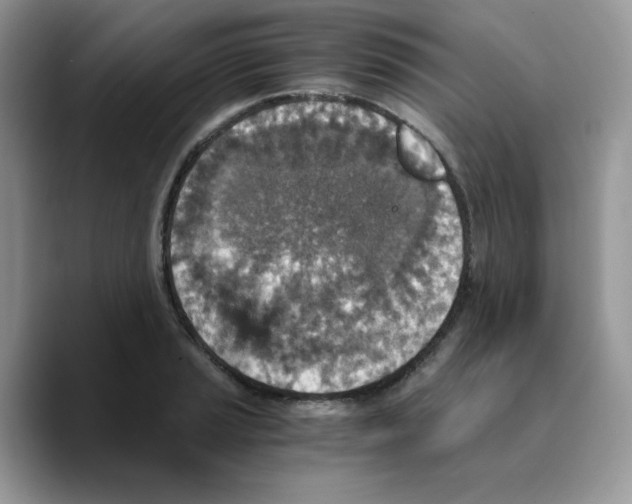 X0000089751037200707201918