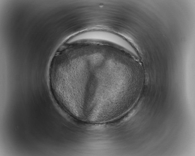 X0000089751038200707201918