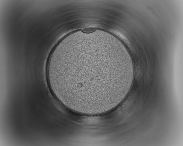 X0000089751039200707201918