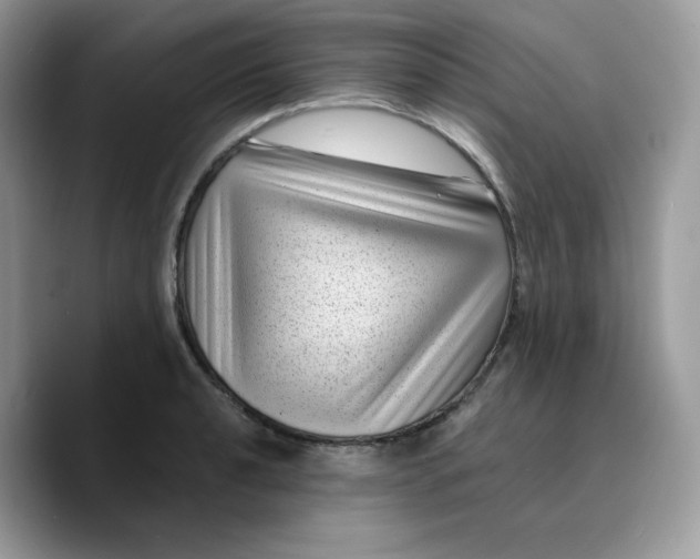 X0000089751040200707201918