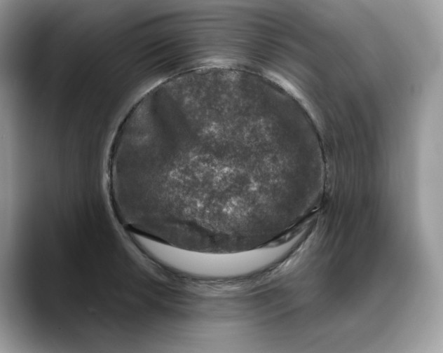 X0000089751042200707201918