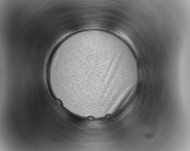 X0000089751043200707201918