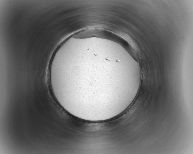 X0000089751044200707201918