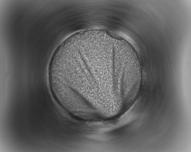 X0000089751047200707201918