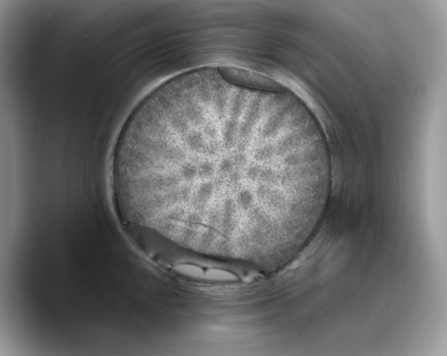 X0000089751048200707201918