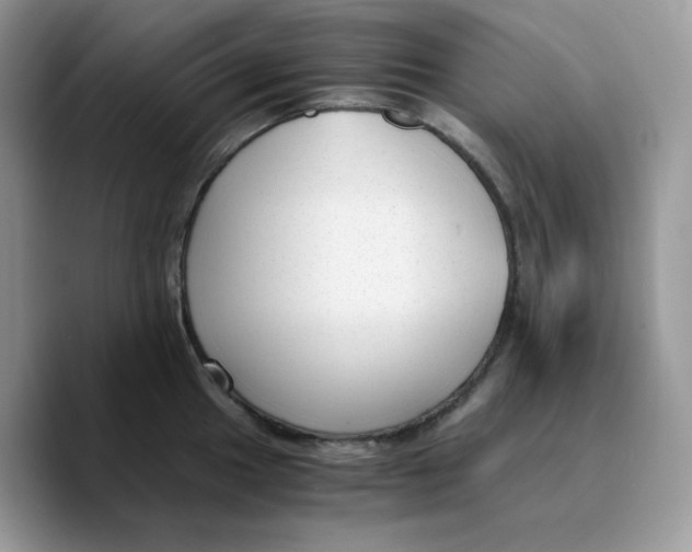 X0000089751049200707201918