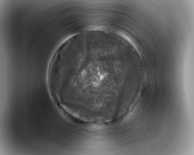 X0000089751050200707201918