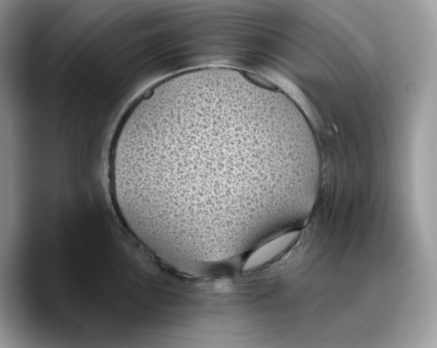 X0000089751051200707201918