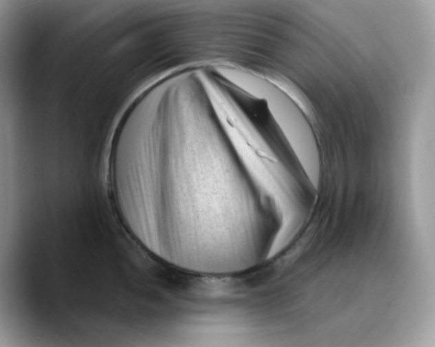 X0000089751052200707201918