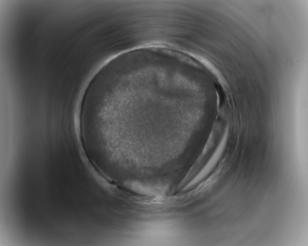 X0000089751054200707201918