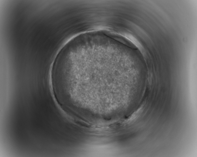 X0000089751055200707201918