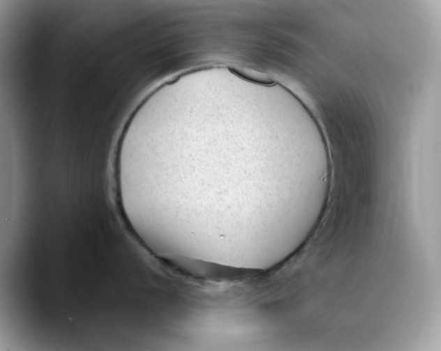 X0000089751056200707201918