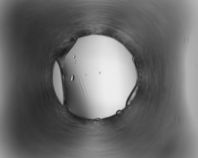 X0000089751058200707201917