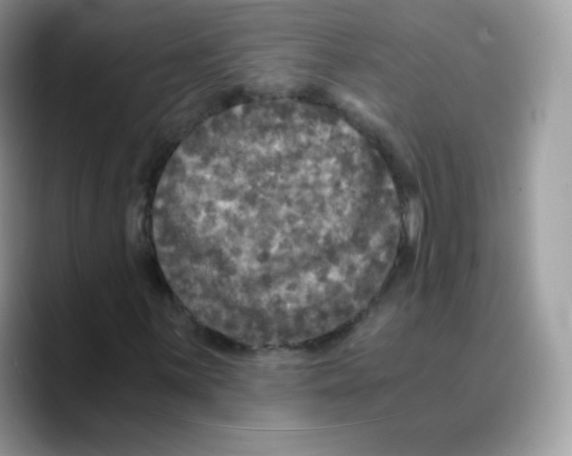 X0000089751059200707201917