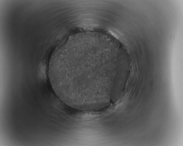 X0000089751060200707201917