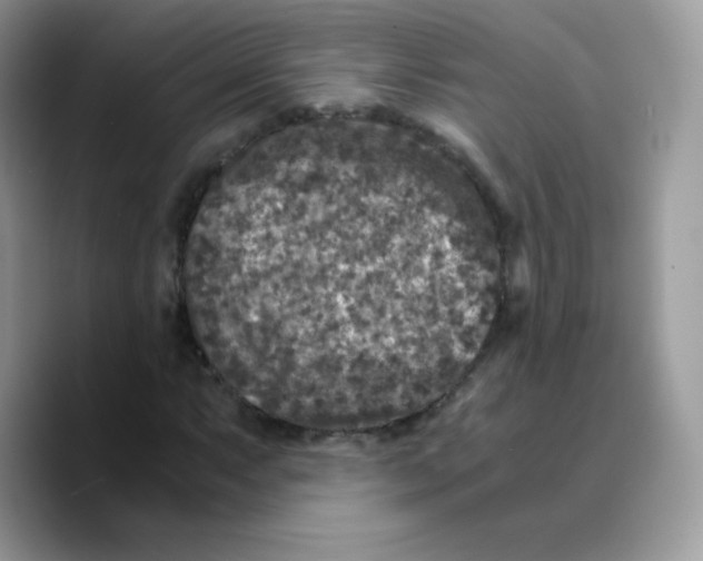 X0000089751063200707201917