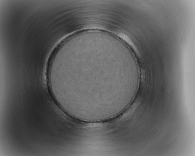 X0000089751068200707201917