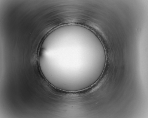 X0000089751073200707201917