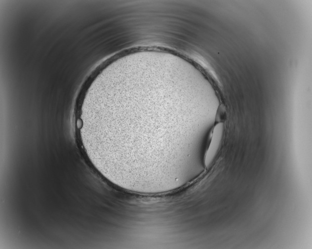 X0000089751076200707201917