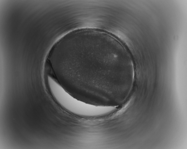 X0000089751077200707201917