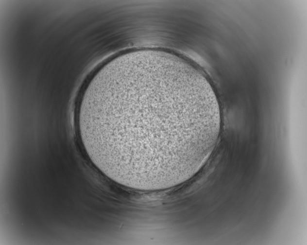 X0000089751078200707201917