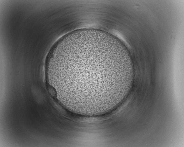 X0000089751079200707201917