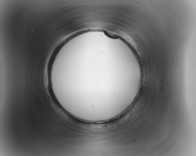 X0000089751080200707201917