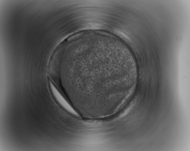 X0000089751081200707201917