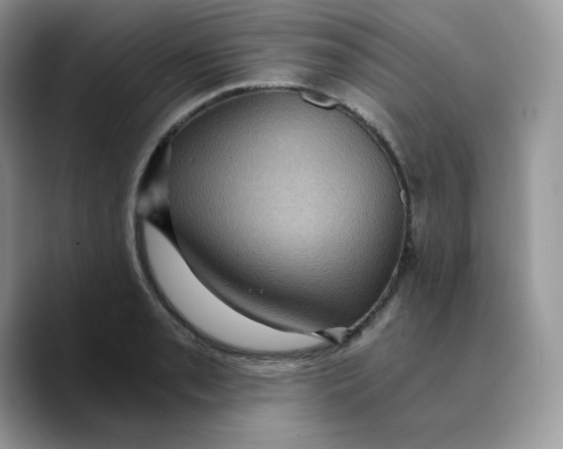 X0000089751085200707201917