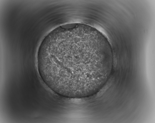 X0000089751088200707201917