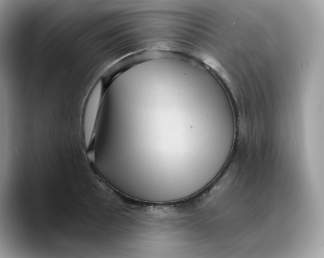 X0000089751089200707201917