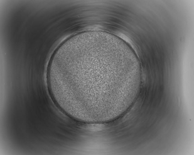 X0000089751090200707201917