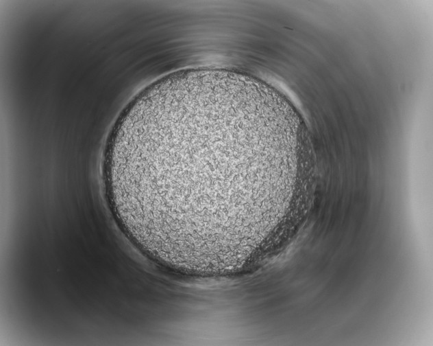 X0000089751091200707201917