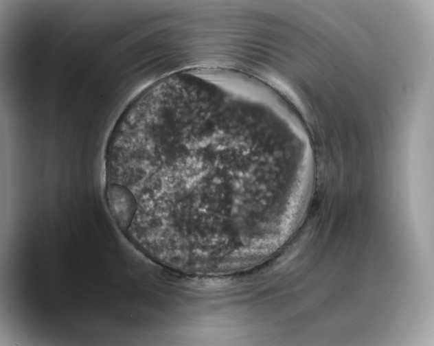 X0000089751095200707201917