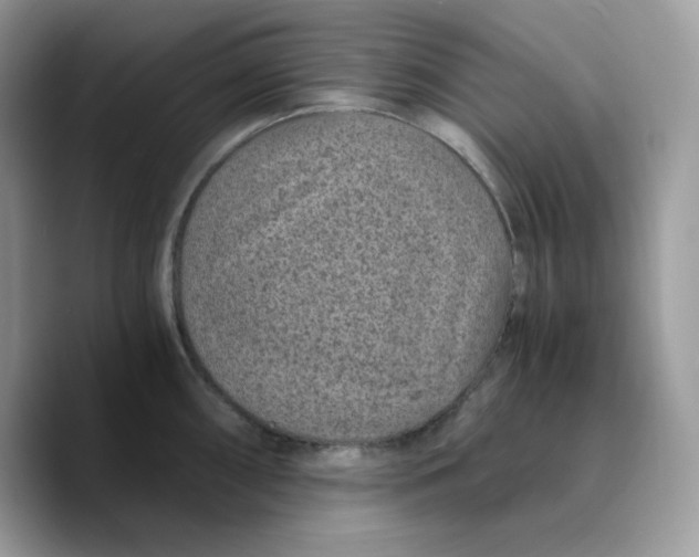 X0000089751098200707201917