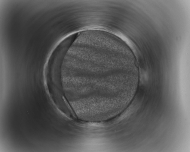 X0000089751102200707201917