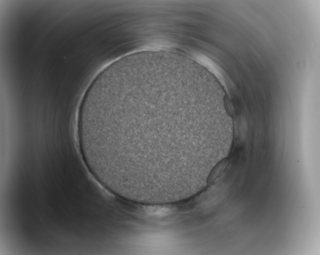 X0000089751103200707201917