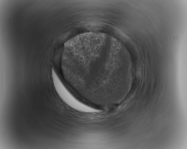 X0000089751108200707201916