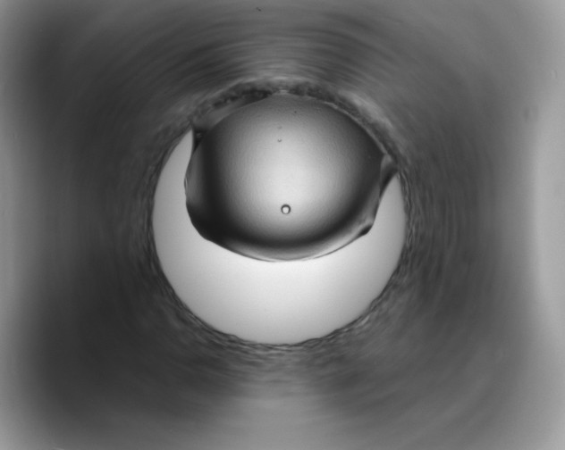 X0000089751110200707201916