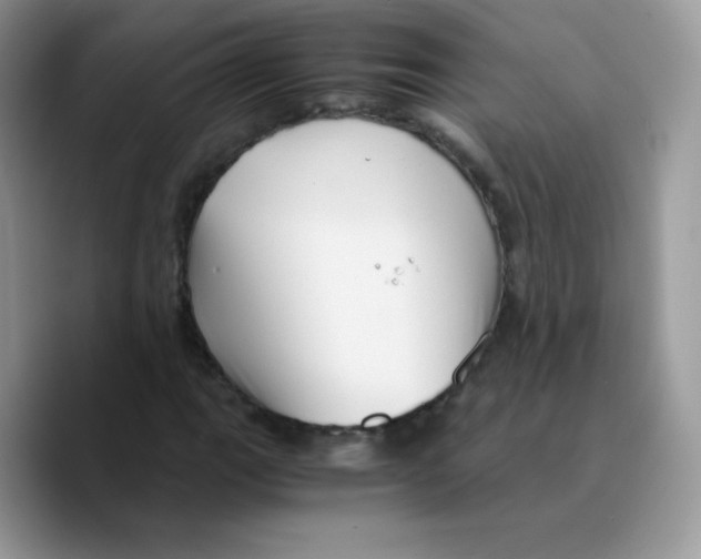 X0000089751111200707201916