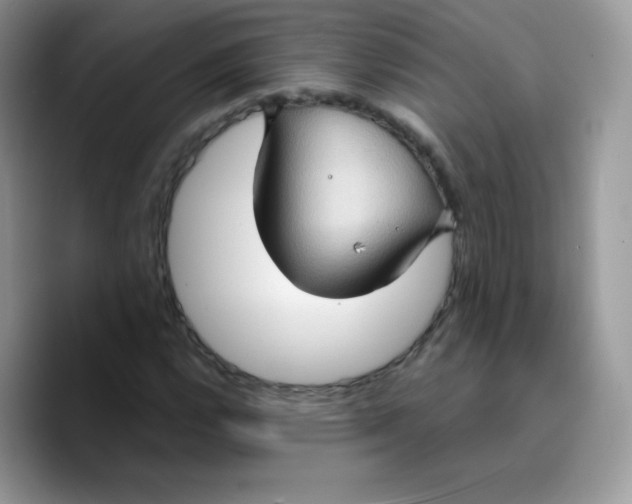 X0000089751112200707201916