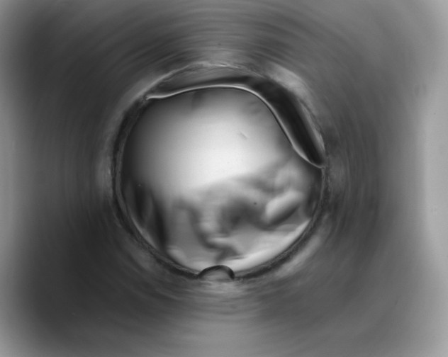 X0000089751114200707201916