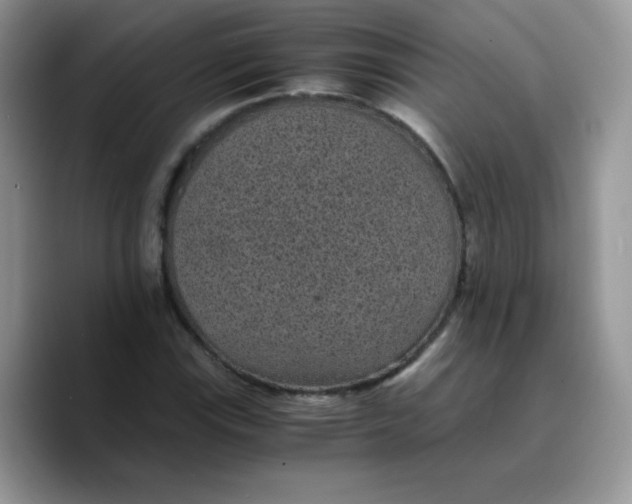 X0000089751115200707201916