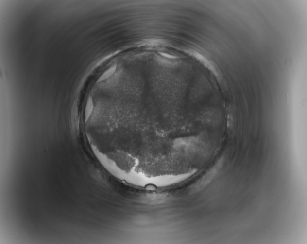 X0000089751117200707201916