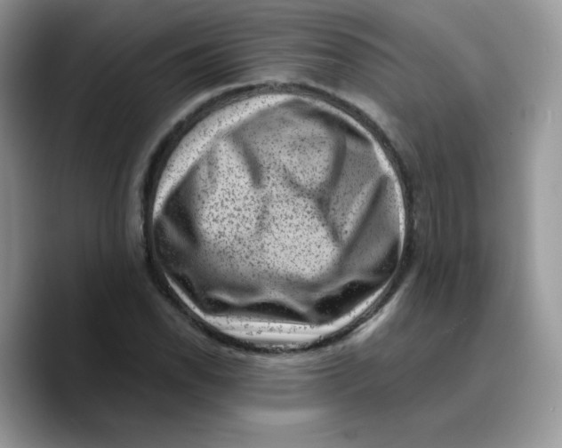 X0000089751118200707201916