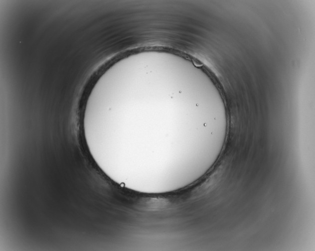 X0000089751119200707201916