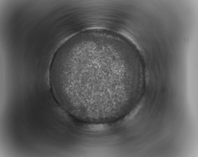 X0000089751121200707201916