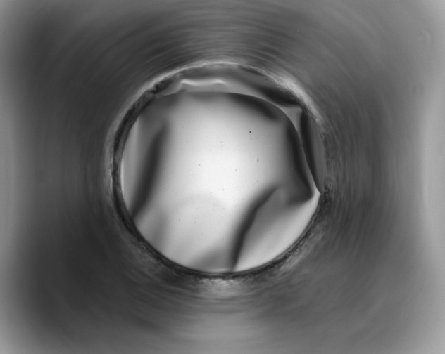 X0000089751124200707201916