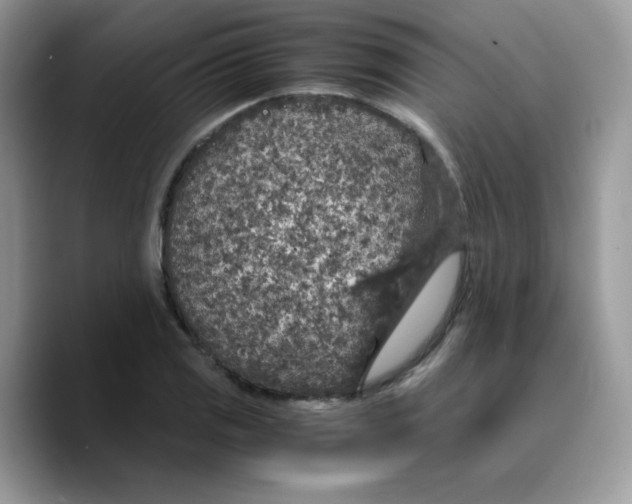 X0000089751125200707201916